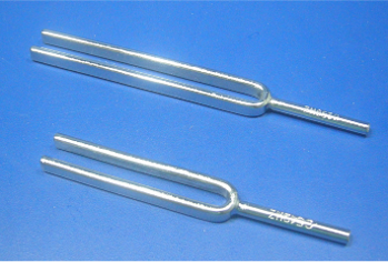 Tuning Fork (1000 Hz): Tuning Fork (1000 Hz):